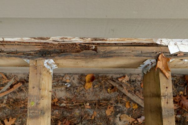 Charlotte Wood Rot Repair