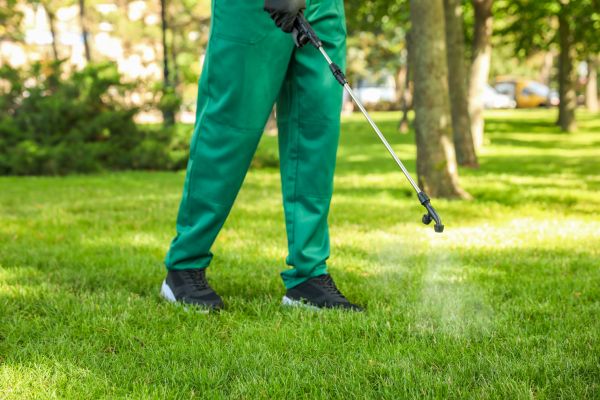 Charlotte Lawn Treatment