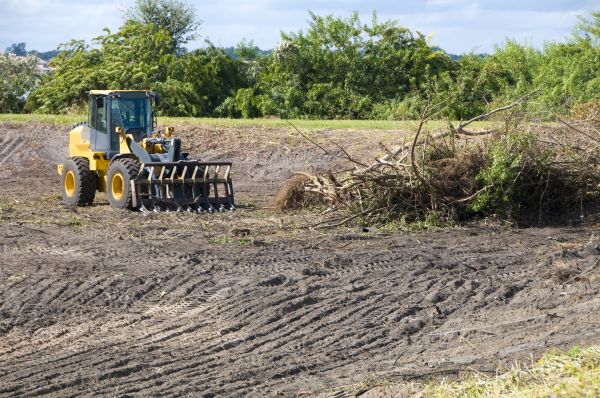 Charlotte Land Clearing